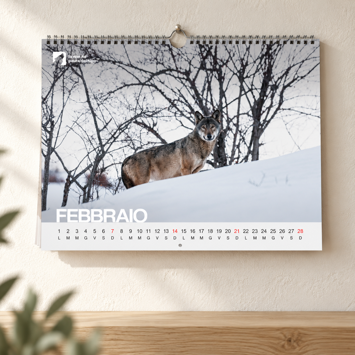 Calendario da parete 2027 - Io non ho paura del lupo - Gaetano Pimazzoni
