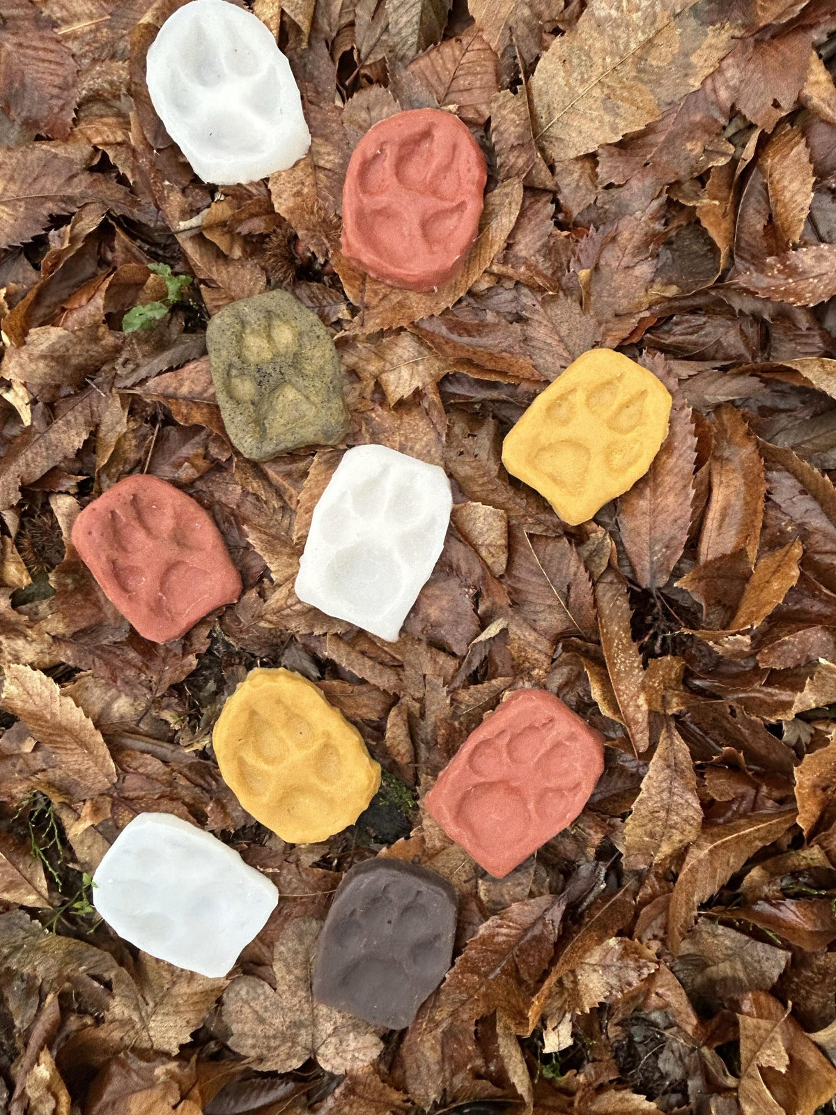 Impronte di Lupo in Silicone - Edizione Limitata fatte a mano