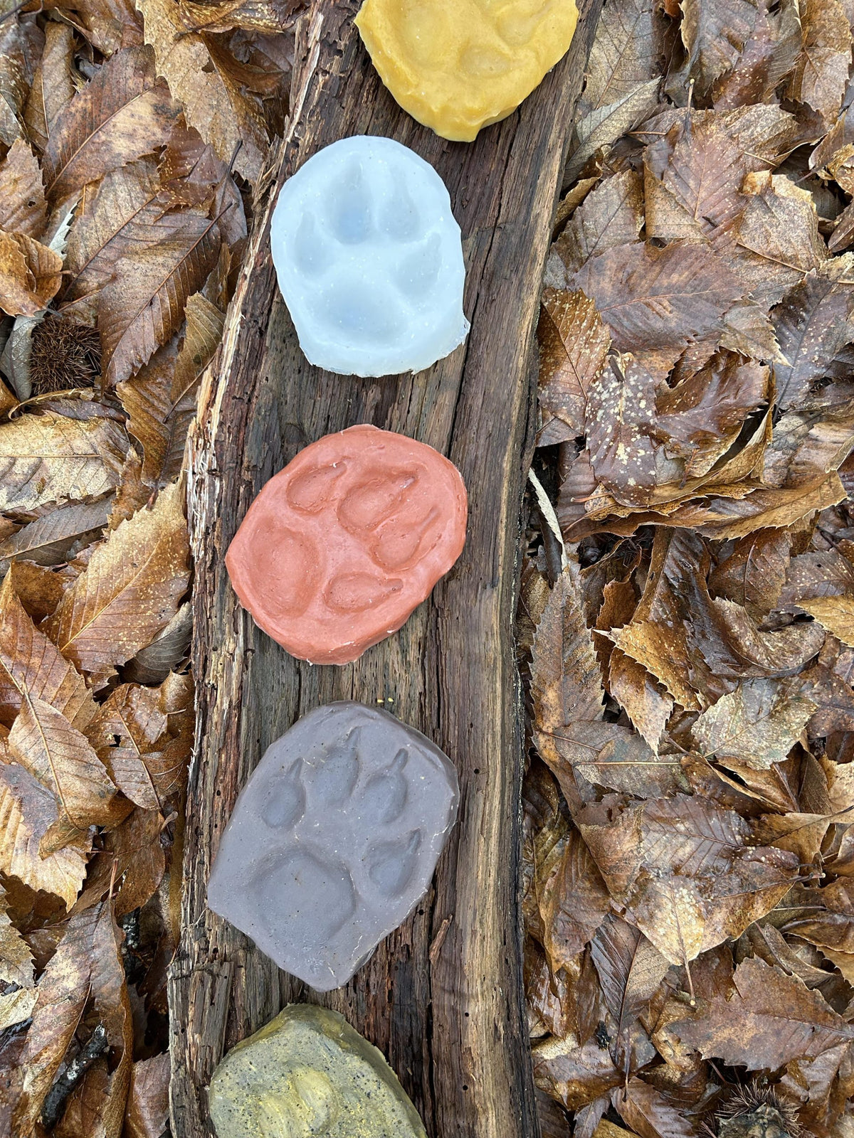 Impronte di Lupo in Silicone - Edizione Limitata fatte a mano